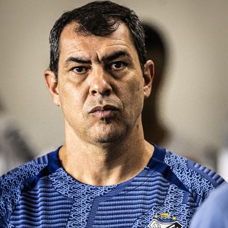 Treinador Fábio Carille gesticulando em partida de futebol.